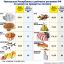 Чувашская Республика в рейтинге регионов РФ  по ценам на продукты питания
