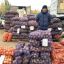 Овощей на рынке много, и пока они дешевы.  Фото Максима Иванова