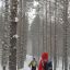 На лыжах можно добраться до деревни Иван-Беляк.